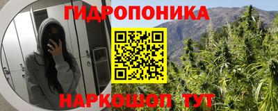 прущие крисы Апшеронск