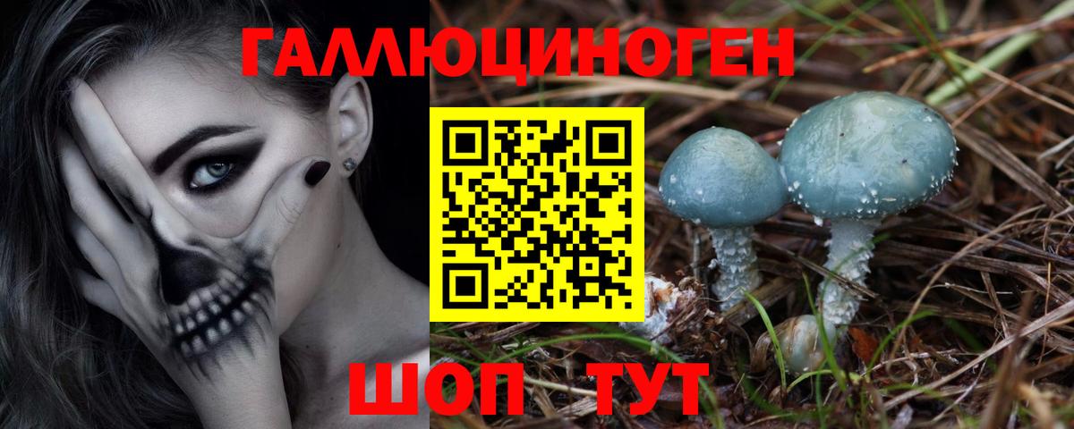 Галлюциногенные грибы MAGIC MUSHROOMS Ачинск